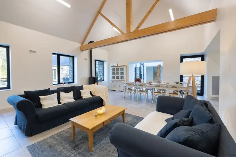 Séjour lumineux avec plafond cathédrale et poutres apparentes — Photo immobilière Click&Com